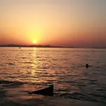 Mataija Διαμέρισμα