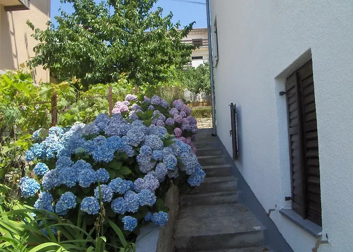 Mataija *
